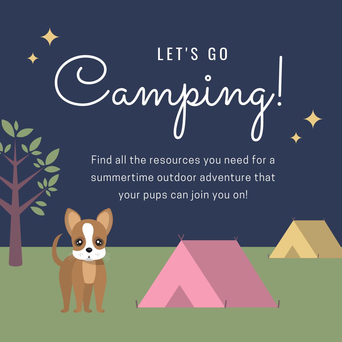 Summertime is perfect for outdoor adventures! However, these adventures aren’t always pet-friendly. Check out this list of resources for camping with your pets. 🌲⛺

RESOURCES: bit.ly/2JLefbo