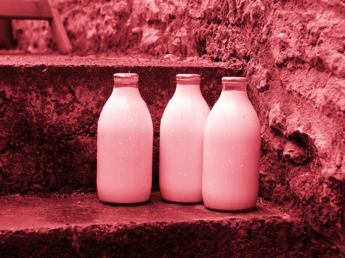 We buy about 1,000,000 plastic bottles per minute. With #ClimateChange awareness growing, take a look at how people are returning to the old days with glass milk bottles: Via @Independenthttp://ow.ly/AhdN50uG7gN