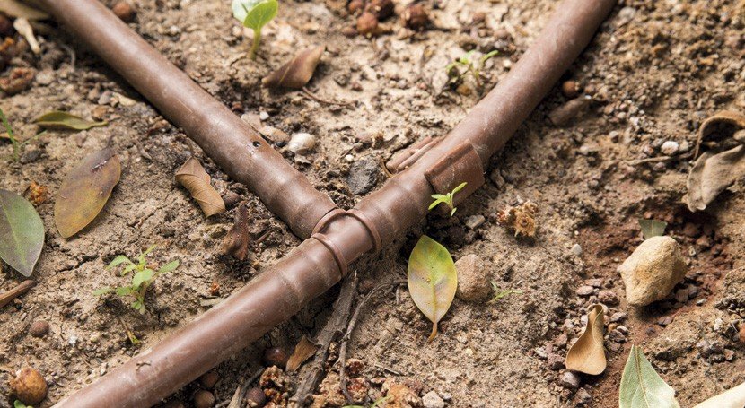 NuevoRegadio's tweet photo. #NewsletterAgro | Diseño hidráulico para #riego por goteo; innovaciones agrícolas frente a la sequía; la importancia del trasvase Tajo-Segura; y mucho más...
¡Suscríbete! https://t.co/87hHpCupzP https://t.co/Mq7Fq30sl4