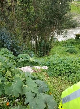 Ver imagen en Twitter