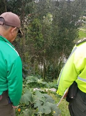 Ver imagen en Twitter