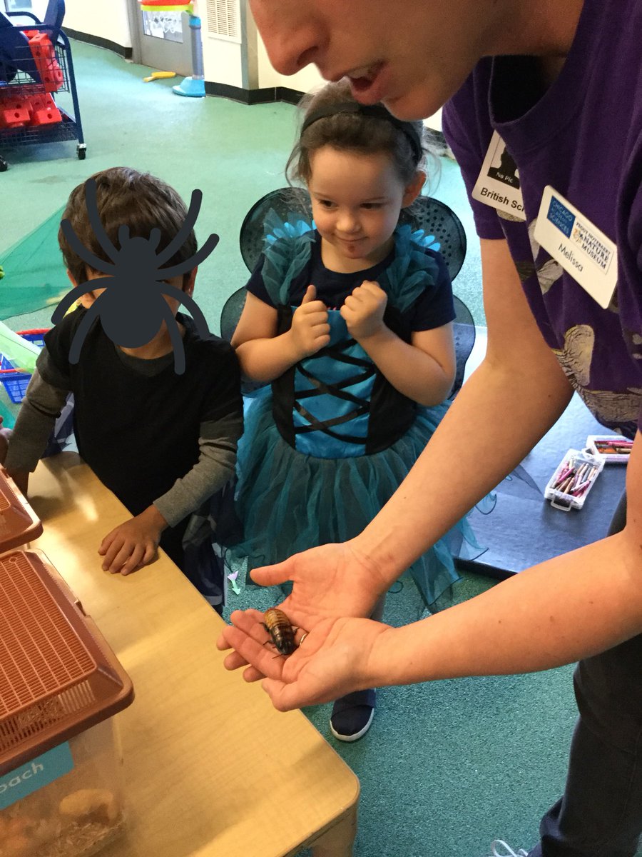 BISCLPNursery's tweet image. What a truly Brilliant Bug Ball! 🐜🦂🐞Celebrating the end of our Early  Years #brilliantbugball topic @The_IEYC #celebratinglearning