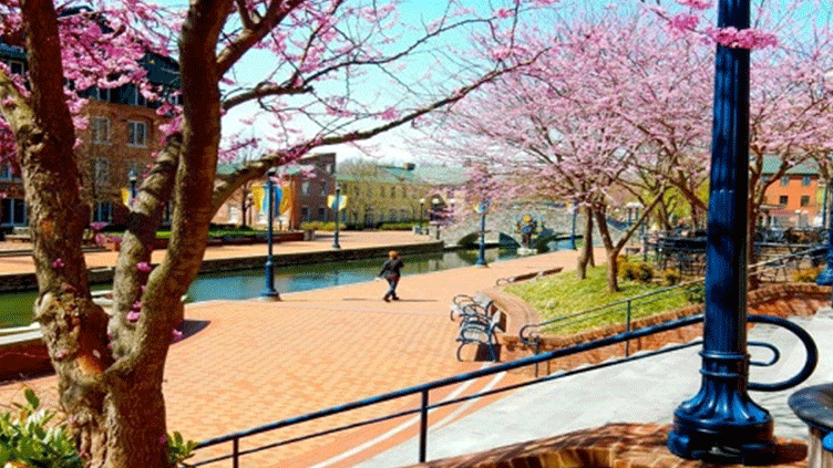 Registration for #NERUG19 is now open! Register today, or tomorrow, or the next day but do it before August 23 because prices go up! 💰💰 #HEUG #Register
heug.org/p/cm/ld/fid=33…