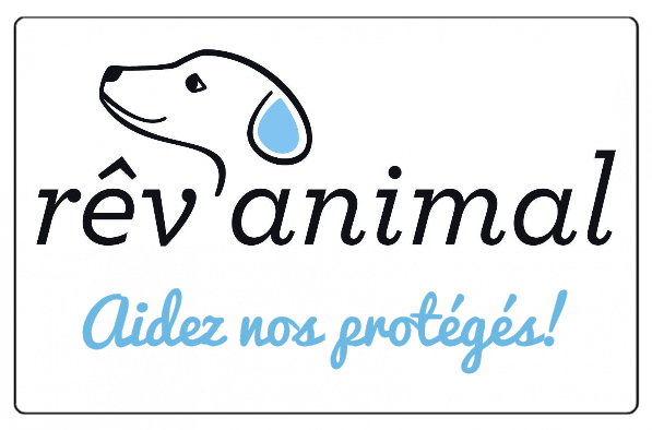 revanimal1's tweet photo. Post solidaire 

Vous aimez les animaux ? Vous avez de la compassion pour leurs souffrances ?

C'est si simple d'aider : 1 "j'aime", 1 partage...

Visitez cette page :

https://t.co/tsL2TSZ9uk https://t.co/zdnEugnUvg