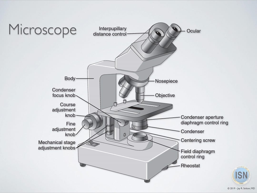 Compound Microscope Labeled Rheostat