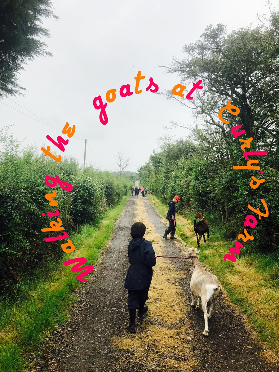 CurlysFarm's tweet photo. Just a spot of #GoatWalking at #CurlysFarm this afternoon

The #goats got a chance to browse the #hedgerows 

While the young people explored the #Kent #Countryside on the #IsleOfSheppey https://t.co/PnlFW6Nduv
