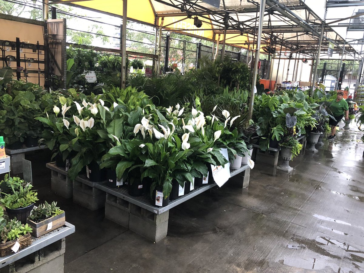 TerryThurst's tweet photo. 245 looking good in the rain today https://t.co/ryWeEniFBq