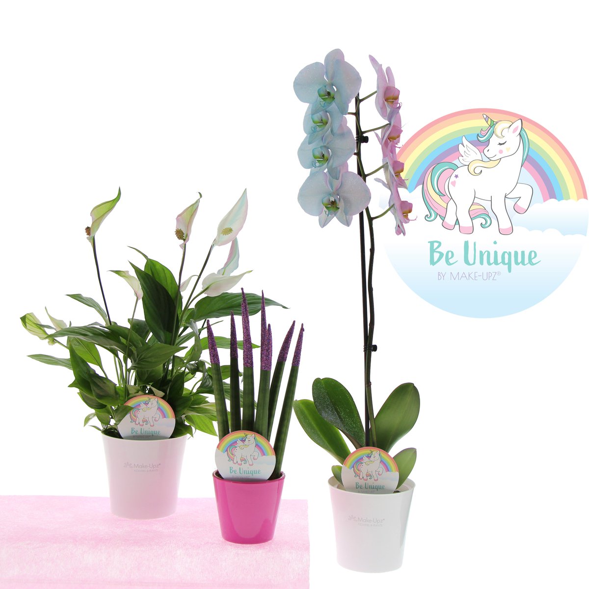 New --> UNICORN

BE UNIQUE by Make-Upz® 

a small selection from the collection:

Spathiphyllum 10,5cm Make-Upz® Unicorn 
Sansevieria TOP-line 8,5cm Unicorn 
Phalaenopsis 12cm 1tak Unicorn 
#Unicorn #Concept #plant #NEW #aqua #pink #makeupz #makeup #tropical #glitterz