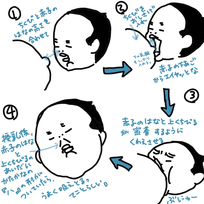 助産師さんに教えてもらった授乳の咥えさせ方がうまくいってるかどうかの確認法。

あと第一子の娘の時から使っているピジョンのリペアニプル。少しでもパイがヒリヒリしたらこれを塗る。もともとの体質もあるかもだけど、私は第一子の時から深く咥えさせるのとこれ塗るのとで、痛くなったことが無い。 