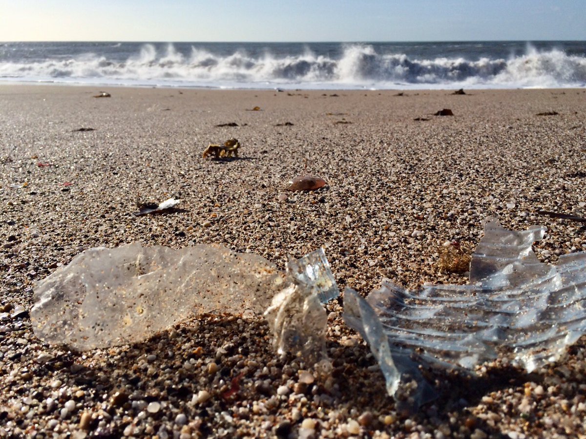 Less Plastic tweet media
