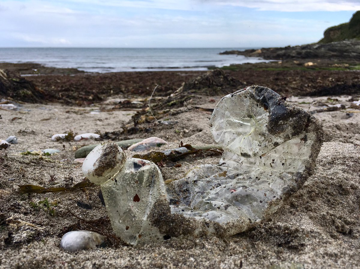 Less Plastic tweet media