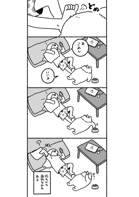 ガタイのいいねこと無気力 