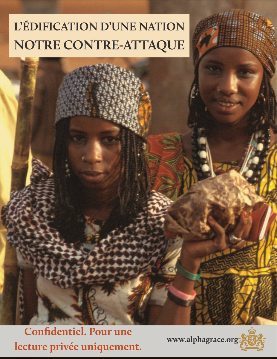 DrAlphaGrace's tweet photo. L'Afrique et le défi d’un ordre mondial alternatif; mes sincère pensée pour l'Empire Songhai, le Mali! #infographie #Afrique #Africa #géopolitique #économie #valeurs #cybermanipulation #europe #france #globalfinance #histoire #Violence #FGM #Sahel #guerre #Ethnic https://t.co/AdgeYbviMG