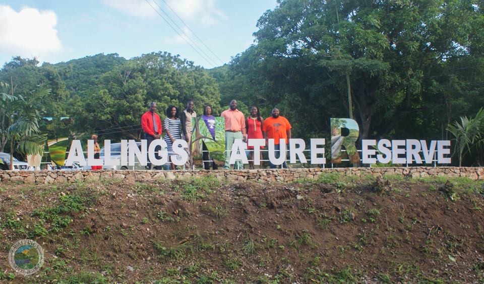 Celebrating one of our partners, @Wallings268 located in one of the last remaining forested areas in Antigua and Barbuda. Forested areas like Wallings stabilize our climate and provide a home for rare/important species. Don't forget - World Rainforest Day is June 22!