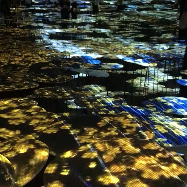 #Japan #digitalartmuseum #Tokyo Absolutely in love with this place.  #art #beauty #japanese #contemporaryart  #digital #video zpr.io/gLqE2