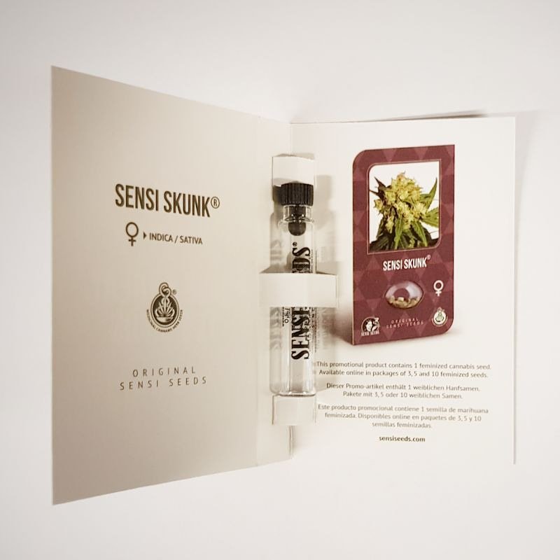 FREE SENSI SKUNK CANNABIS SEEDS with any Sensi Seeds order placed on our website.

Thanks @sensiseeds

#cannabisstrains
#FavouriteStrains #sensiseedsbank #sensiskunk #ukcannabis #ukcannabiscommunity #Cannabis #edinburghcannabisclub #edinburghcannabiscommunity