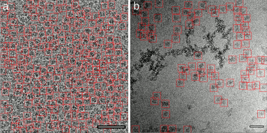 FelipeIMerino's tweet photo. Finally our #crYOLO paper is out for good in @CommsBio .
You can get the paper here https://t.co/82fkKMiD79 and the software from our @SPHIRE_Package page https://t.co/YNe8mTrWdr
Kudos to Thorsten (@pixelbaumarkt)! https://t.co/0G68deOQGv