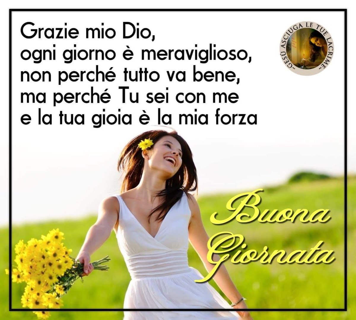 Deriu Maria Regina En Twitter Buongiorno Anche A Te Giuseppe E Buona Giornata Anche A Tutti Voi Https T Co Wc8dmbgear