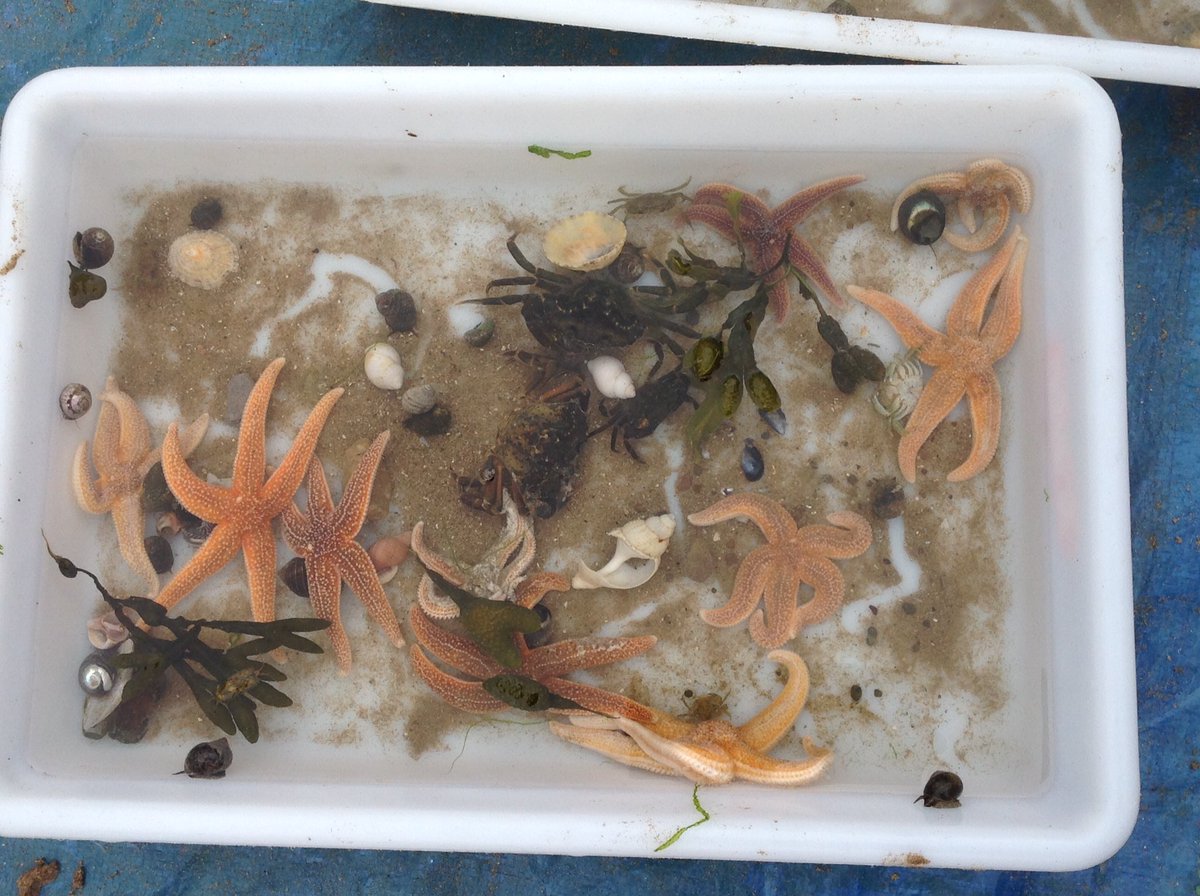 Mrs Jones tweet media