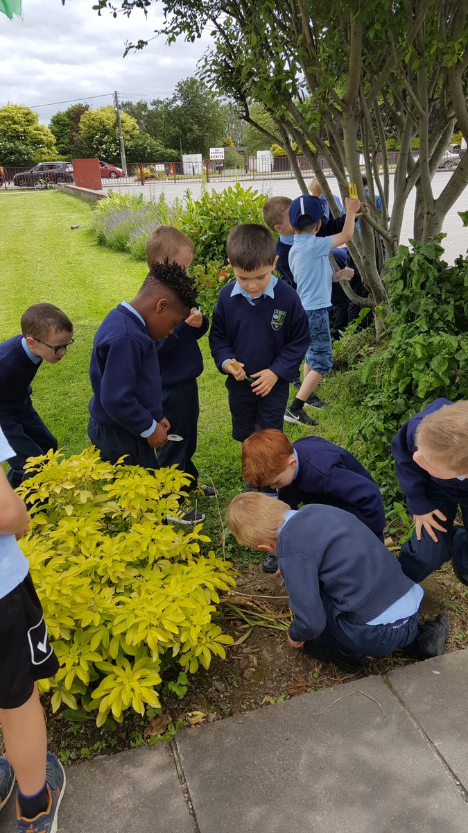 ms_rafter's tweet photo. We loved our minibeast hunt! https://t.co/qW1LkqljJw