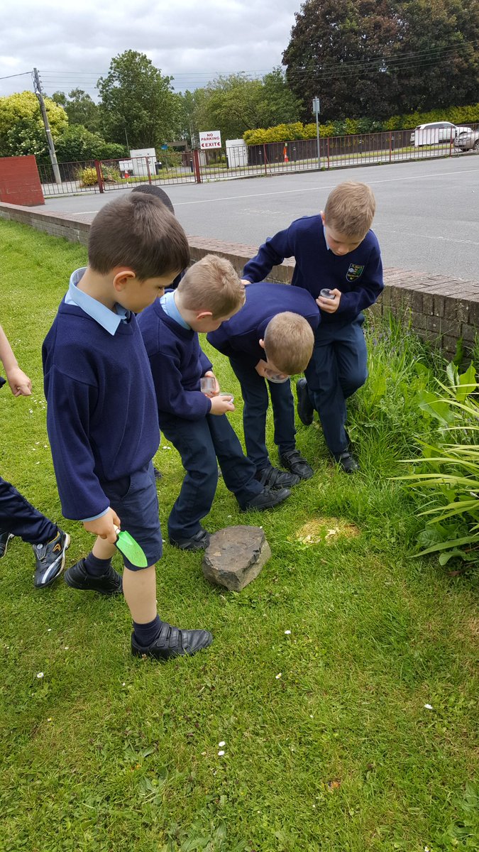 ms_rafter's tweet photo. We loved our minibeast hunt! https://t.co/qW1LkqljJw