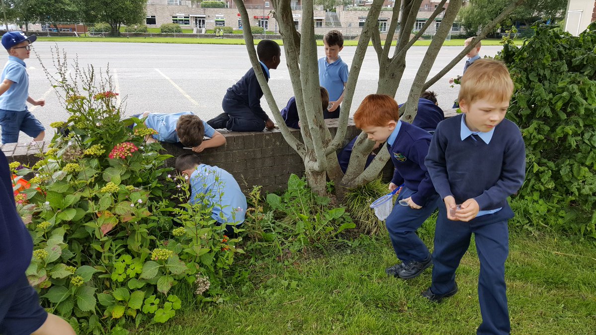 ms_rafter's tweet photo. We loved our minibeast hunt! https://t.co/qW1LkqljJw