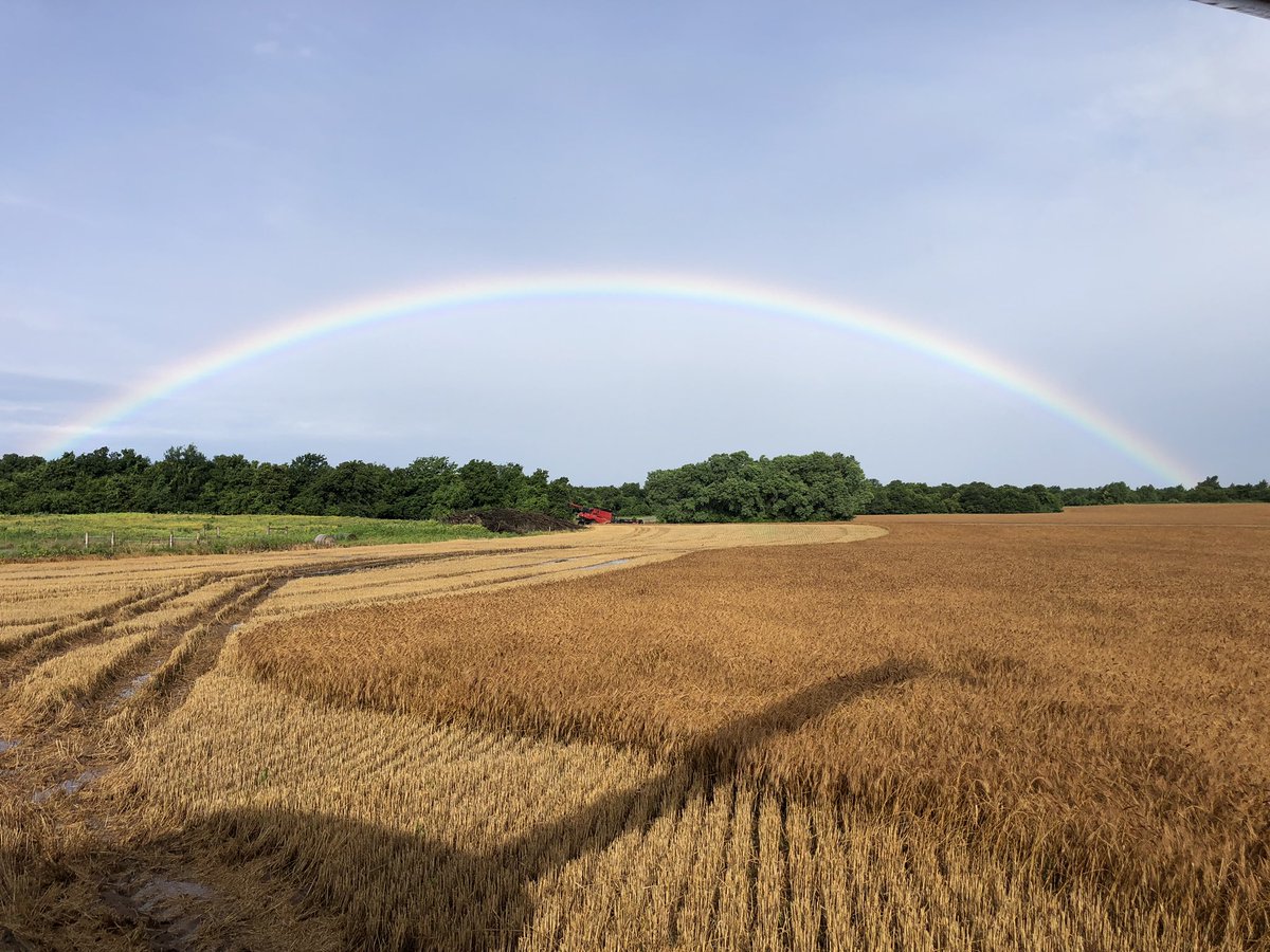 Porter5Farms's tweet photo. This is our story in Oklahoma 😏...
Got stuck Saturday night, rained another 1.5” overnight.   #harvest19 #stuck19 https://t.co/PFsAfTbzmY