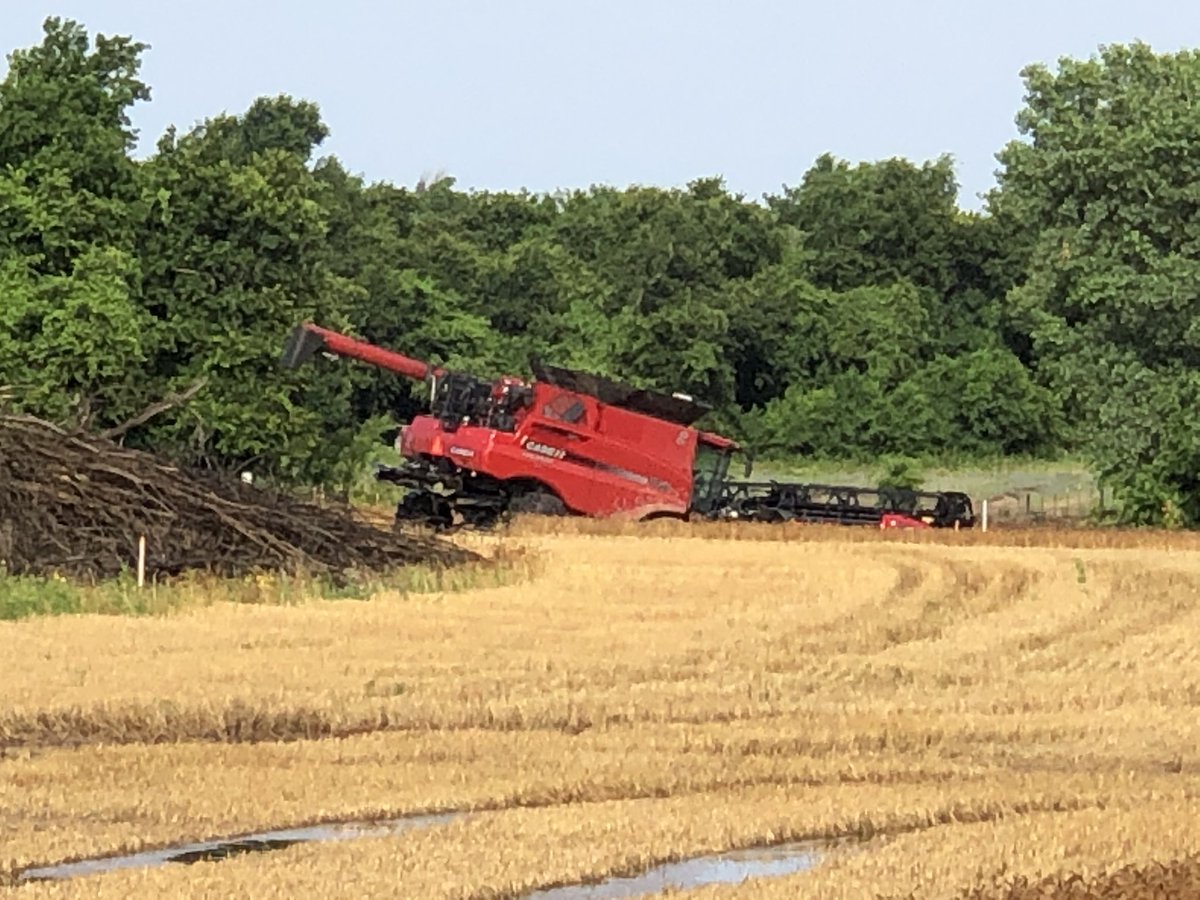 Porter5Farms's tweet photo. This is our story in Oklahoma 😏...
Got stuck Saturday night, rained another 1.5” overnight.   #harvest19 #stuck19 https://t.co/PFsAfTbzmY