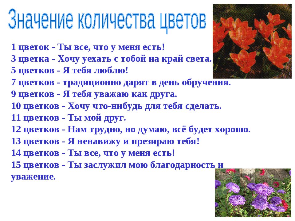 Сколько цветков можно дарить на день рождения. Какое количество цветов можно дарить человеку. Количество цветов в букете значение. Какое количество цветов можно дарить живому человеку. Какое число цветов можно дарить живому человеку.