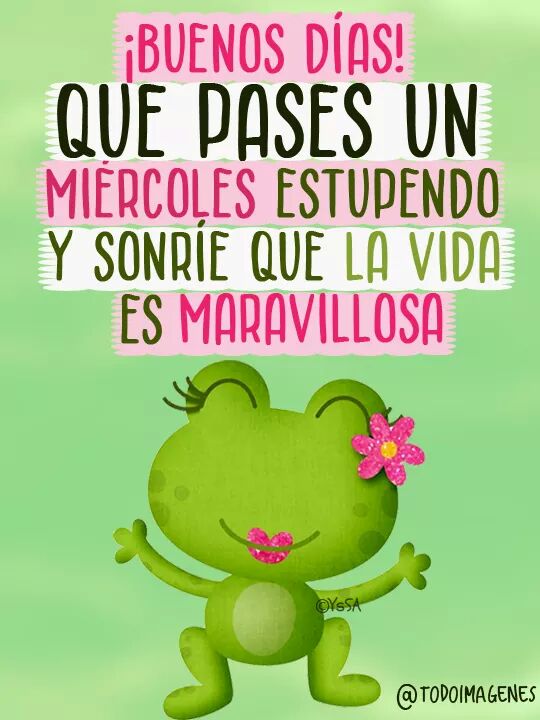 LauraNazarin tweet picture