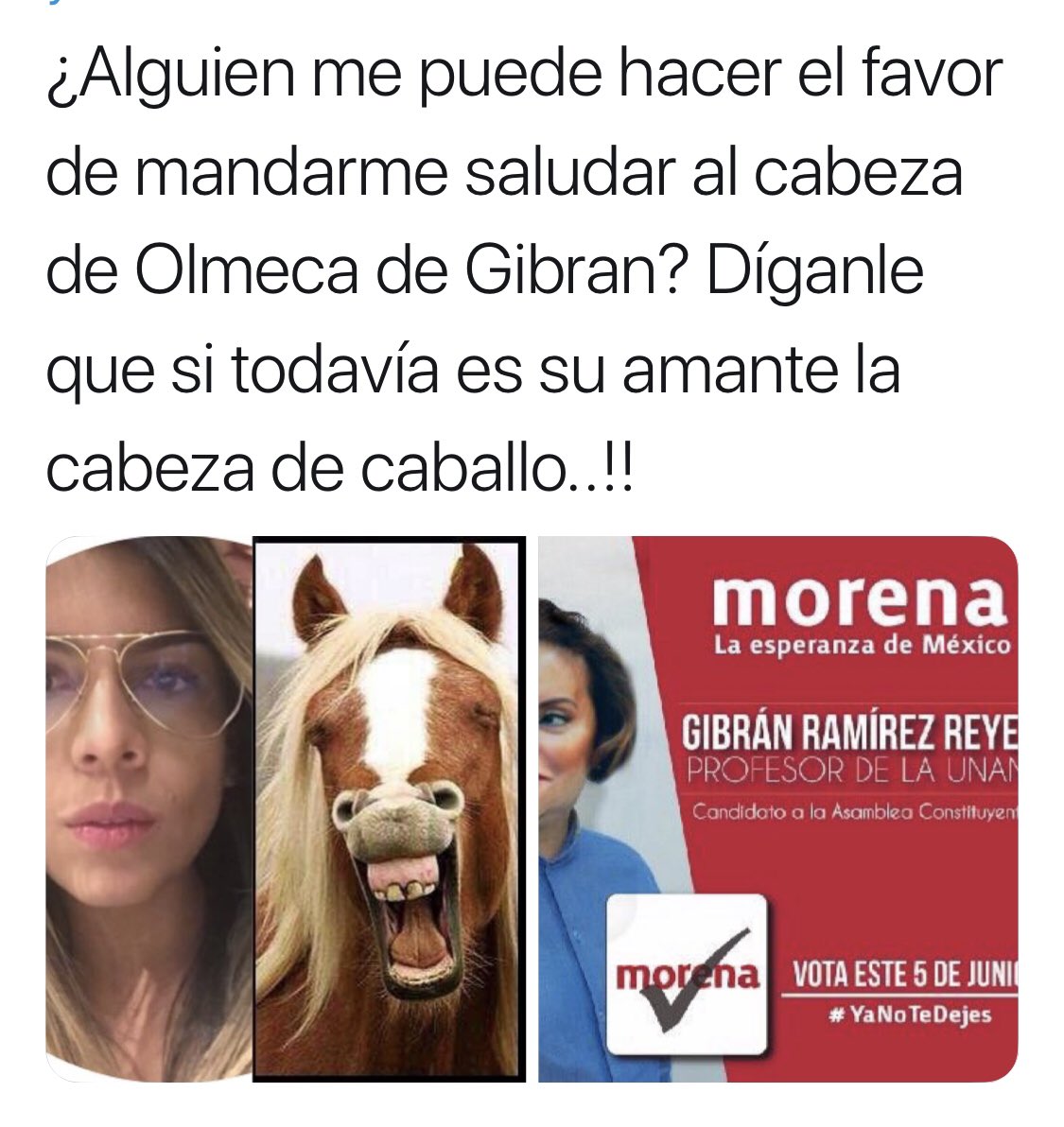 mono_jojoy's tweet photo. @gibranrr Oye cabeza de Olmeca, te hablan...!! https://t.co/ZX4WWNOpRx