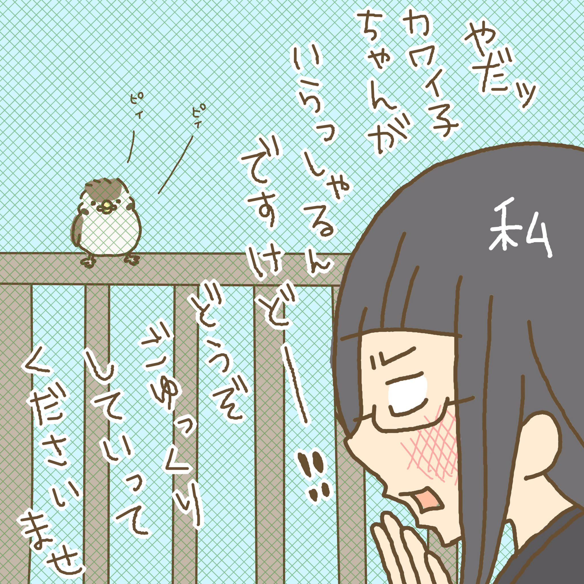 とき てづバ３日間ms 72 雀の雛 可愛かったー ˆoˆ コミックエッセイ イラスト 絵日記 絵 漫画 イラストエッセイ お絵描き イラストルポ エッセイ漫画 日常漫画 ゆるいイラスト 4コマ漫画 創作イラスト Web漫画 まんが マンガ Comics
