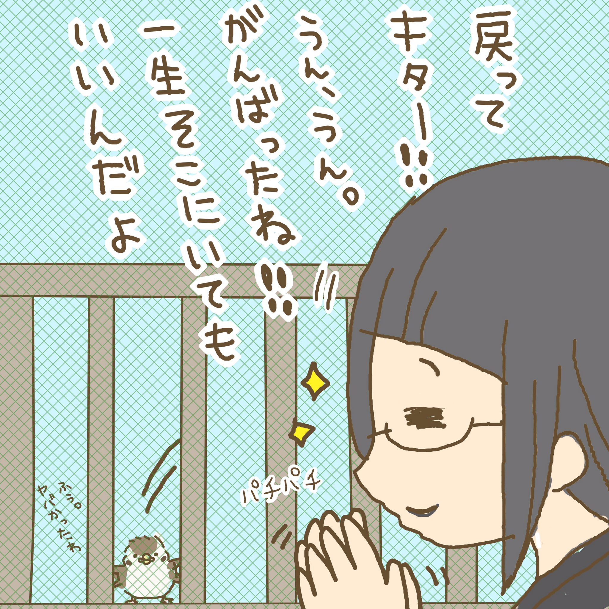 とき てづバ３日間ms 72 雀の雛 可愛かったー ˆoˆ コミックエッセイ イラスト 絵日記 絵 漫画 イラストエッセイ お絵描き イラストルポ エッセイ漫画 日常漫画 ゆるいイラスト 4コマ漫画 創作イラスト Web漫画 まんが マンガ Comics