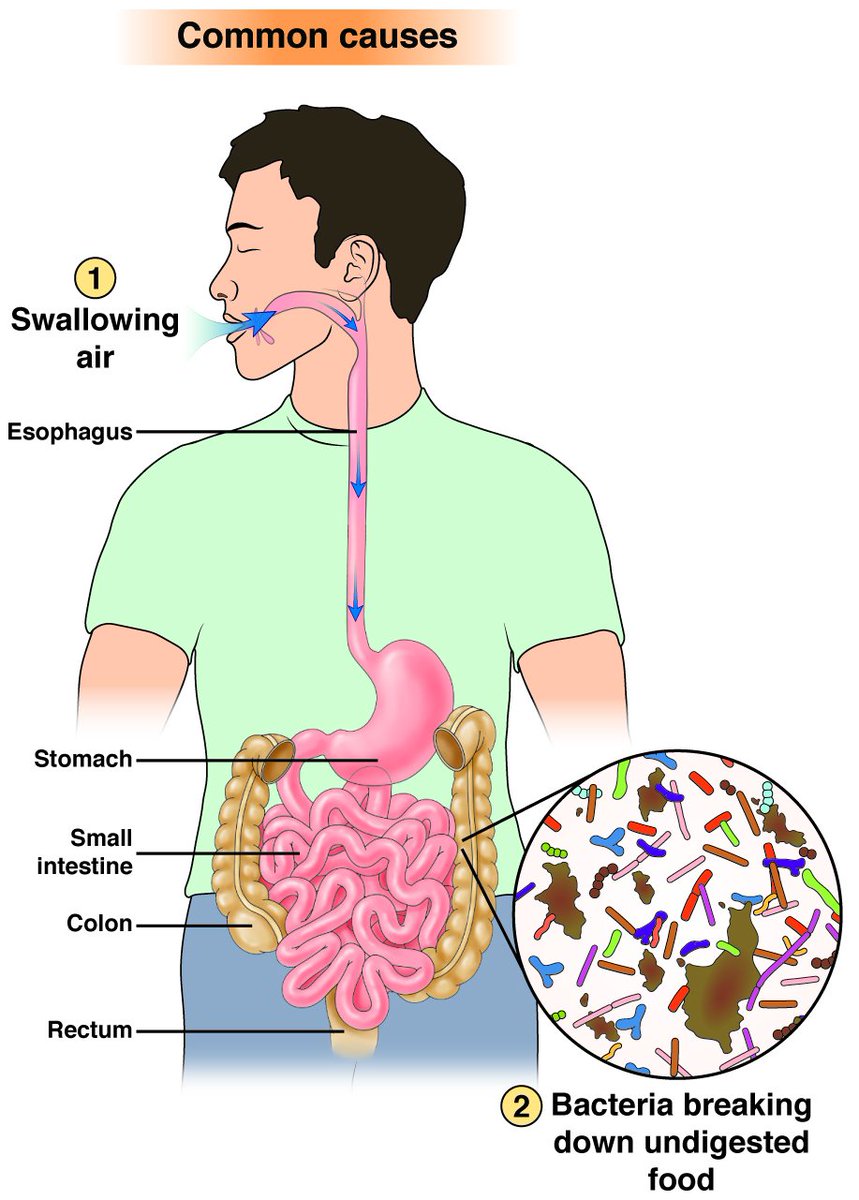 Entire Cause List 2025