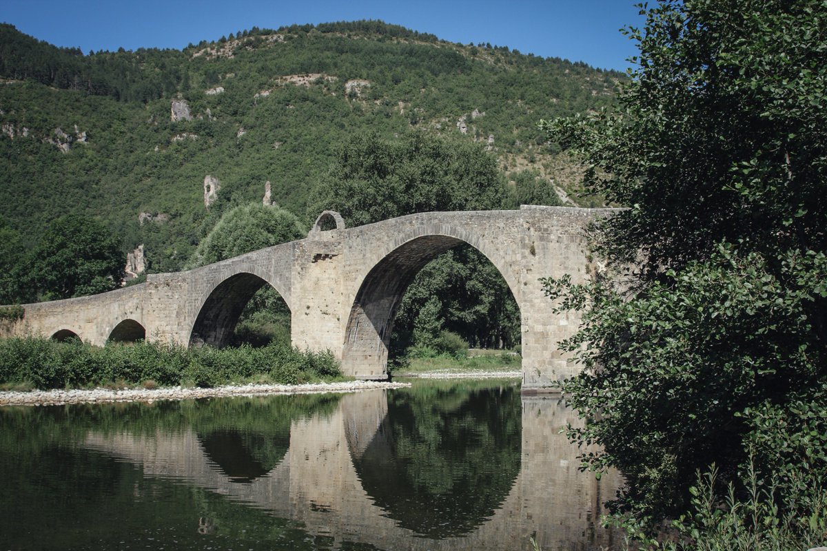 Via Compostela tweet media