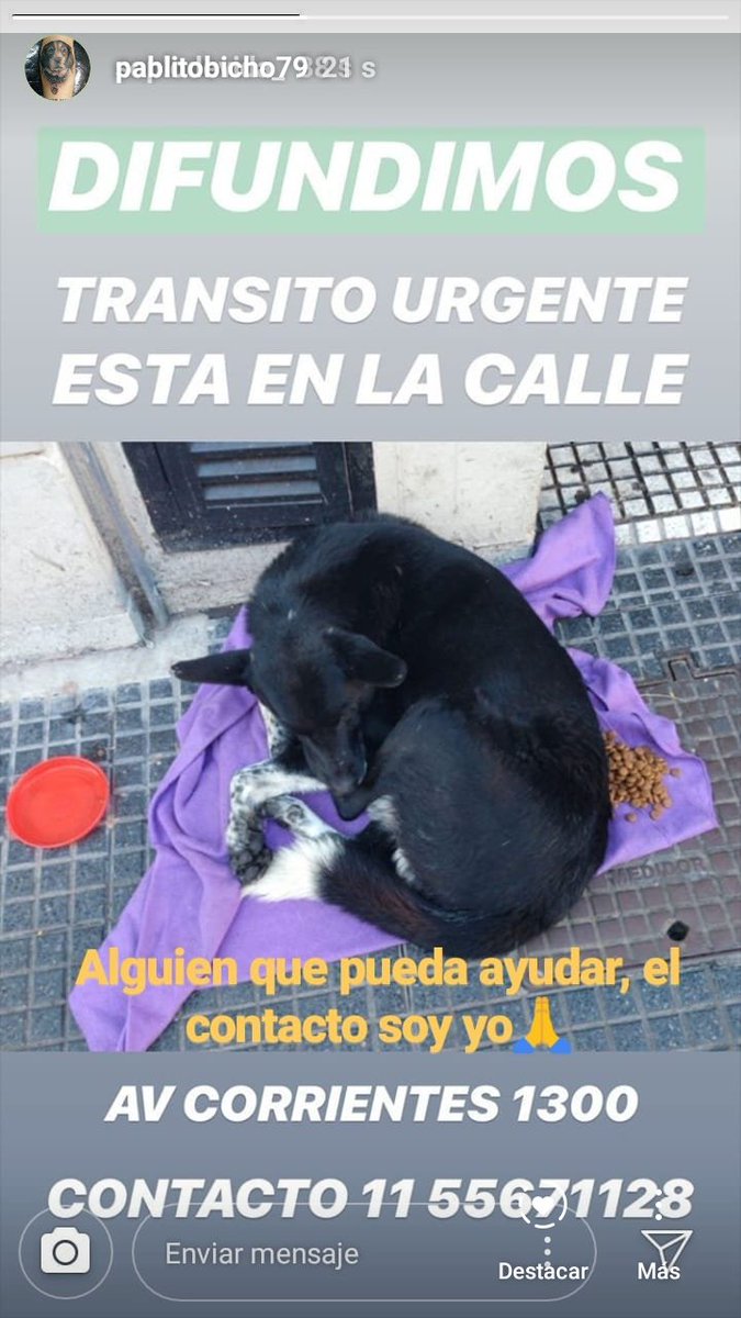 hoyundiamas's tweet photo. Por favor RT 🙏

Buscamos transito Urgente!

Esta hoy 19/06 ahí!

@mebolcomba @MarianoOses @DebsJorge @LOLET38 @mcg1465 @1988NSC @eugtobaloficial @MarianaFresco1 @TanRubea @Van_Saskia @MalenaStein @kalipolis @soyleomontero @elcampito @ZaguatesRefugio https://t.co/T9jgZqQXDB