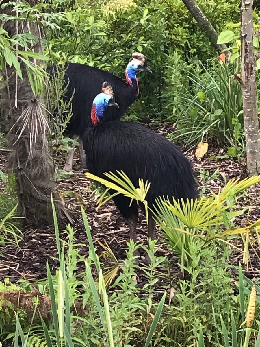 BigMark2's tweet image. 