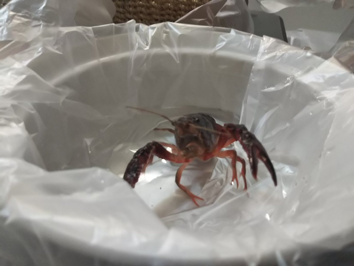 バーンスポット