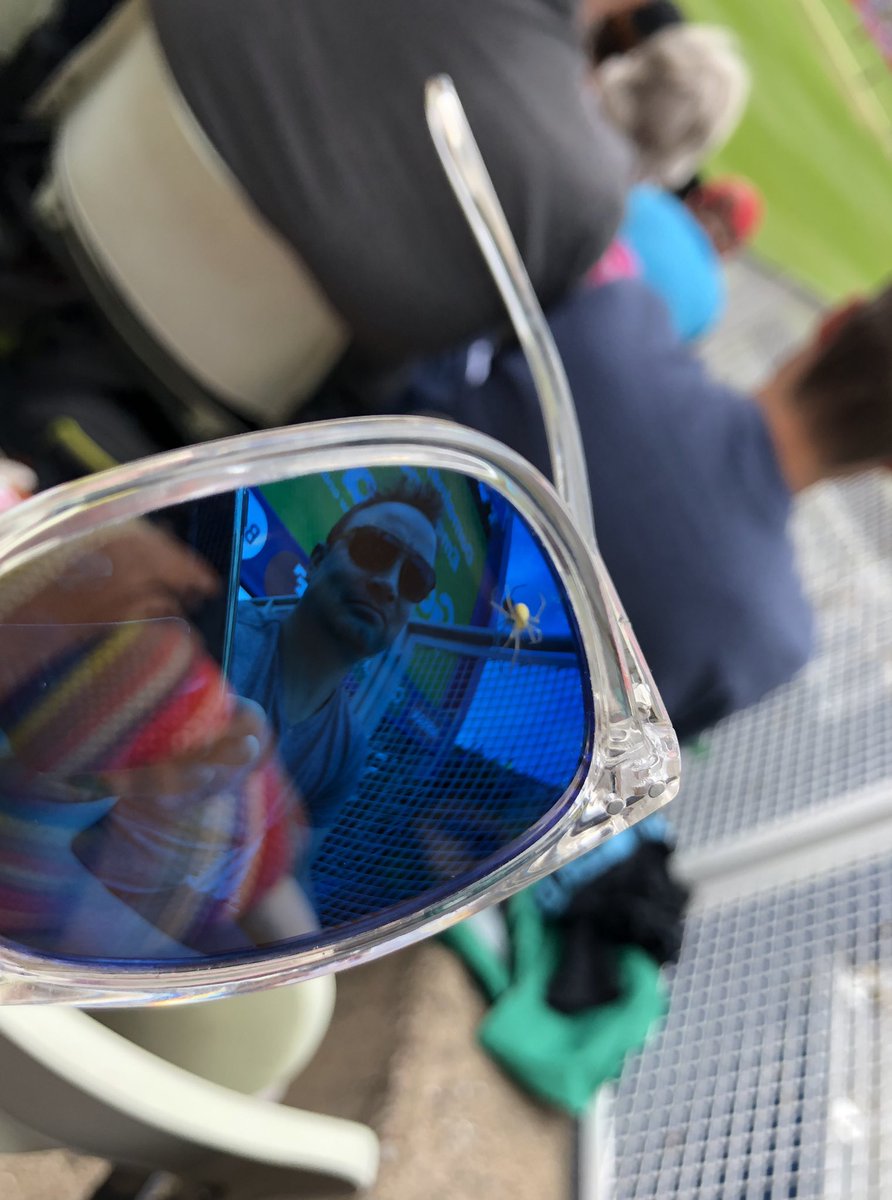 Saffa's stuck in a Kiwi web #CWC19 NZvSA <a href="/cricketworldcup/">ICC Cricket World Cup</a>