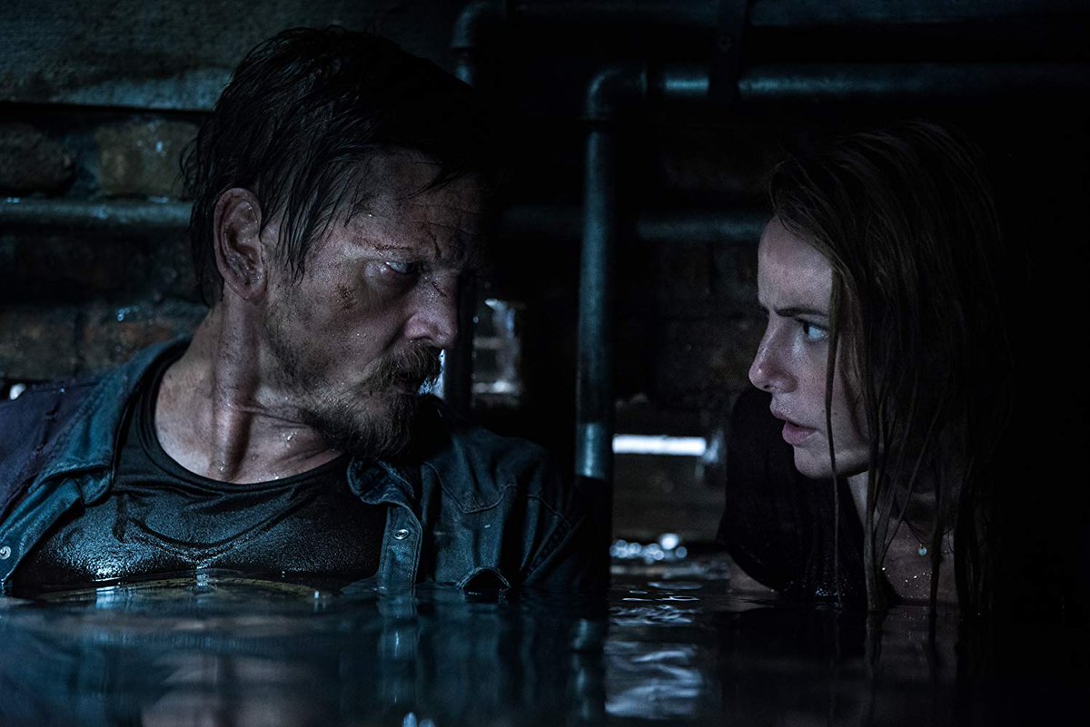 MovieFifty's tweet photo. Watch Crawl Full Movies Online Free HD
https://t.co/lzekJAlJde

While struggling to save her father during a Category 5 hurricane, a young woman finds herself trapped inside a flooding house and fighting for her life against Florida’s most savage and feared predators

#crawlmovie https://t.co/QJR77L6VzU