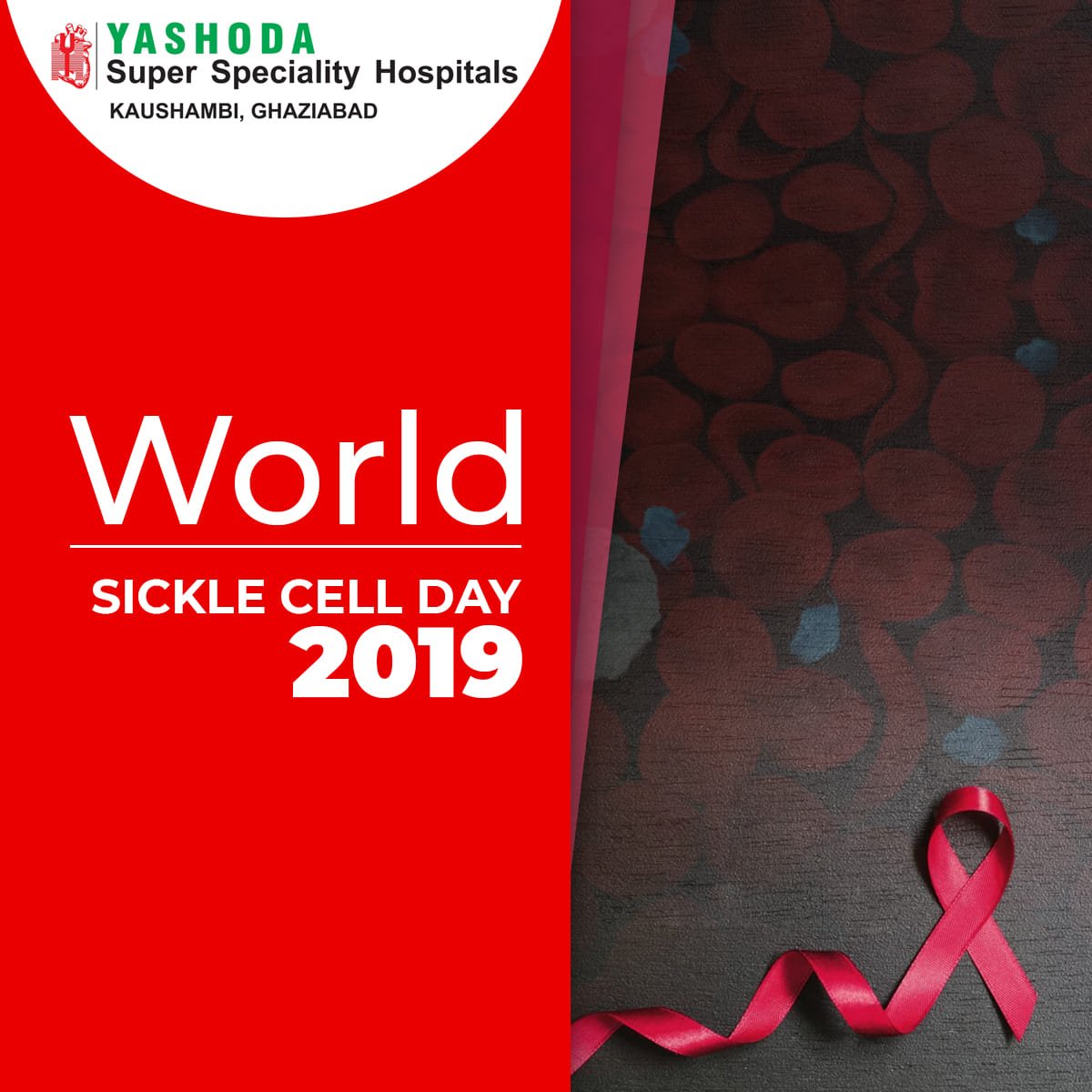 yashodamedicity's tweet image. Today is the 10th anniversary of Sickle Cell Day. It is celebrated with the aim of spreading awareness about this inheritable genetic disease that is fatal. But with the right treatment,it is manageable. Let&apos;s aware all#YashodaCares #WorldSickleCellDay #CreateAwareness #SaveLives