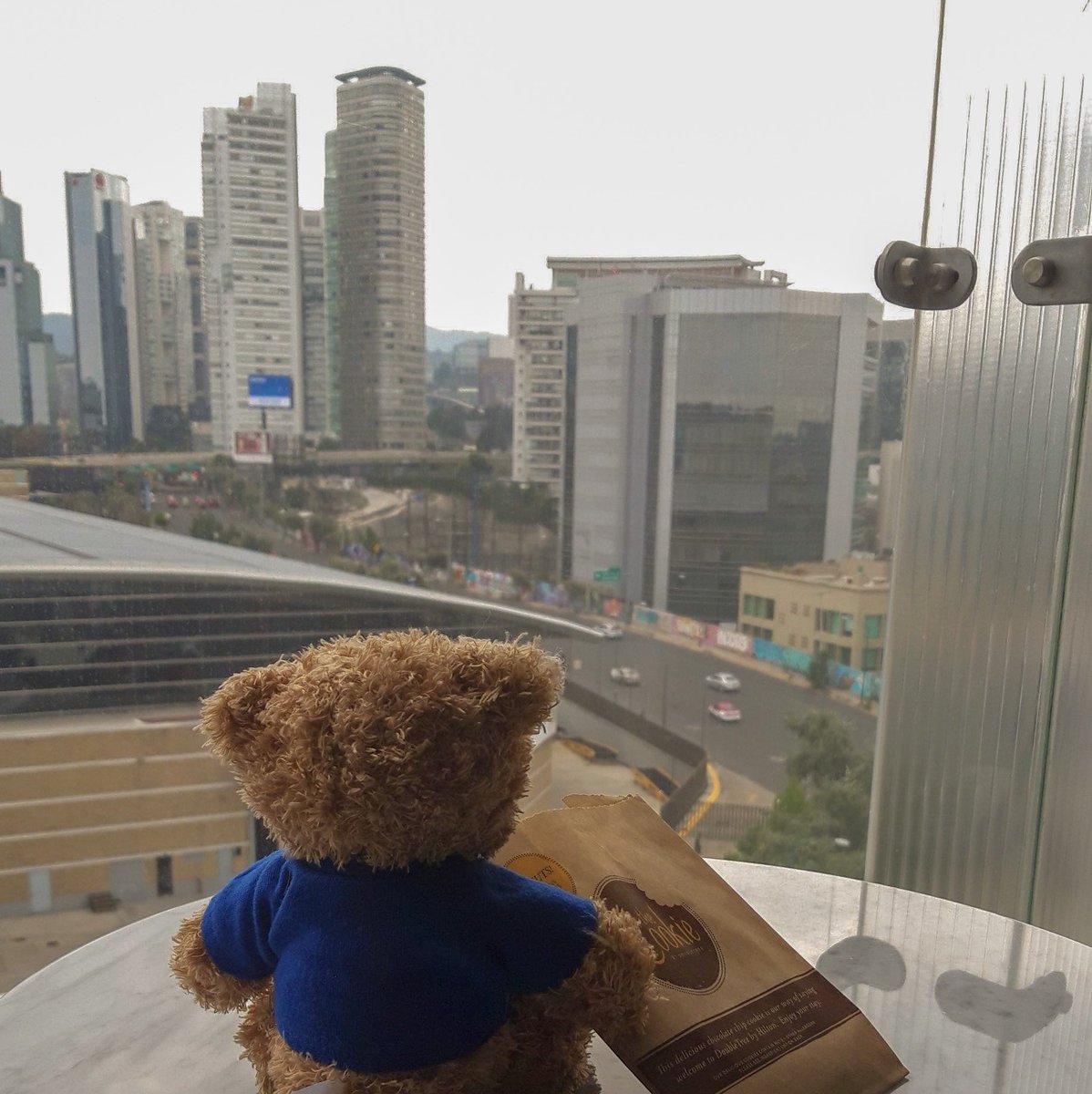 FrogEducation's tweet photo. A second day of training begins for a new Frog school over in Mexico City.
#internationalschools #frogontour #widgetontour #frogfamily https://t.co/uNatqbQHJf