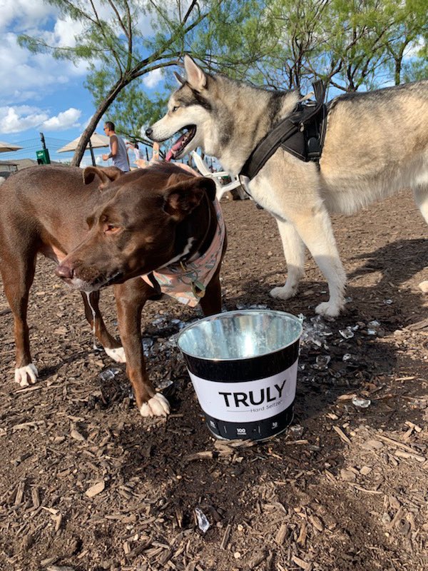 Devin Ward tweet media