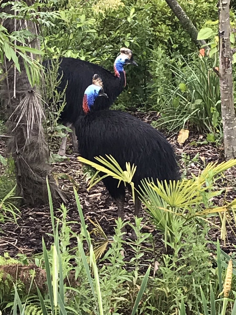 PrescotScience's tweet image. 