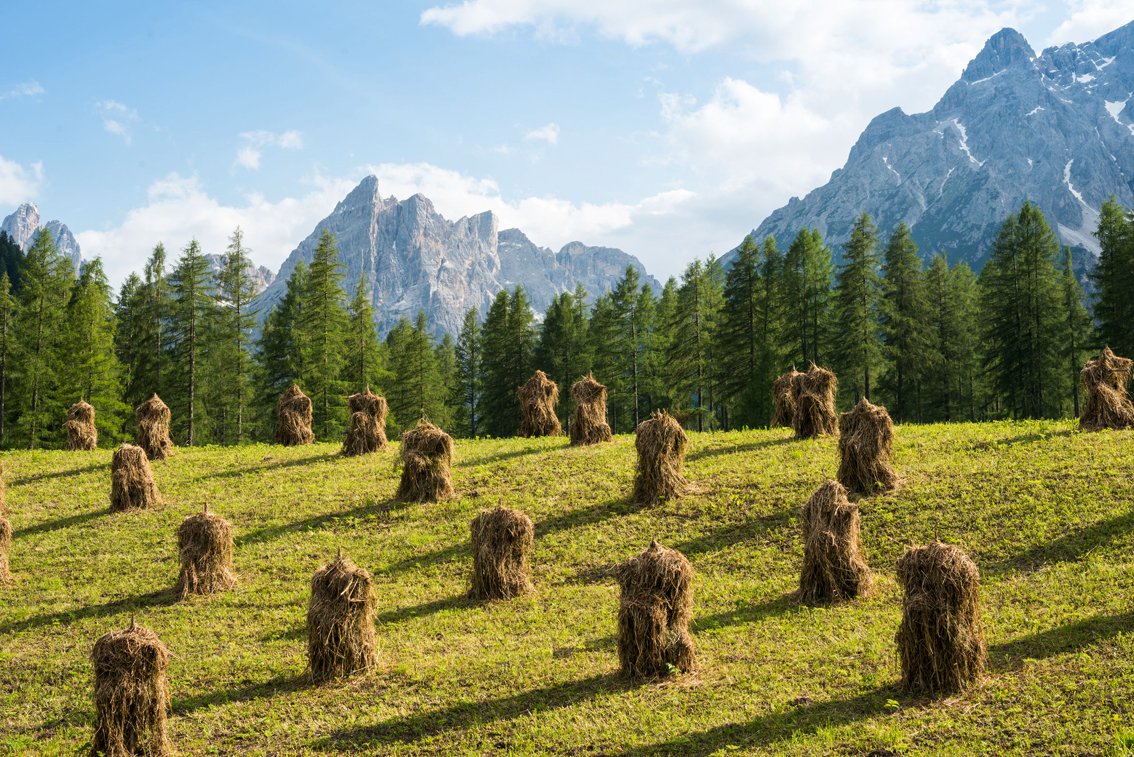 TurismoItaliaNw's tweet photo. Alla scoperta della Val Fiscalina: passeggiate ed escursioni nelle Dolomiti di Sesto, patrimonio dell’umanità Unesco. E come base il Bad Moos di Moso
Leggi la notizia https://t.co/mTDt8oIs5M
#AltoAdige #badmoos #valfiscalina #Dolomiti #sudtirol #benessere @TalaricoSabrina https://t.co/lveMipix40