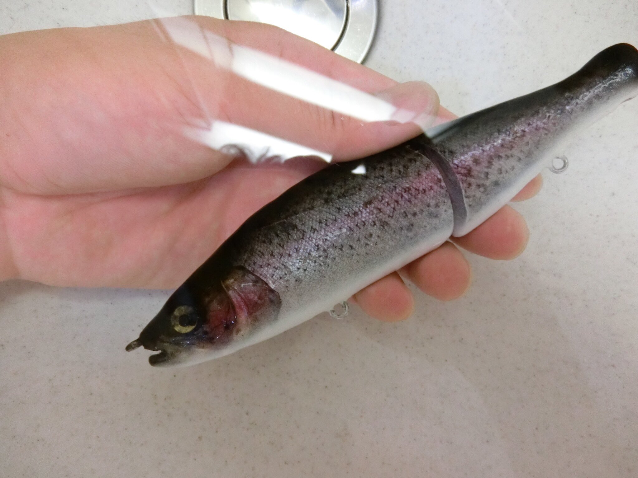 金沢武 魚皮ルアーの人 やっぱり剥製ルアーの真骨頂は 水に入ったとき フレッシュベイトルアーズ Freshbaitlures 剥製魚銀皮カスタム カスタムルアー ハンドメイドルアー 金沢武 魚皮ルアーの人 やっぱり剥製ルアーの真骨頂は 水に入ったとき フレッシュベイトルアーズ Freshbaitlures 剥製魚銀皮カスタム カスタムルアー ハンドメイドルアー