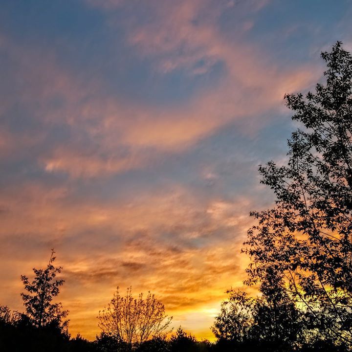 mydoorcounty's tweet image. A beautiful sunset in Door County!
Do you visit Door County for our sunsets?
#Doorcounty #travelwi #beautifuldestinations