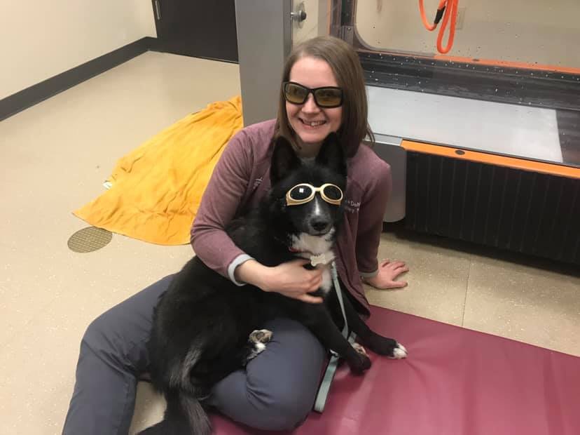 BackOnTrackVet's tweet photo. Who wears the laser glasses better? #rehab #lasertherapy #pomsky #wehavethebesttechs #stylish https://t.co/3Thxczvs8Y
