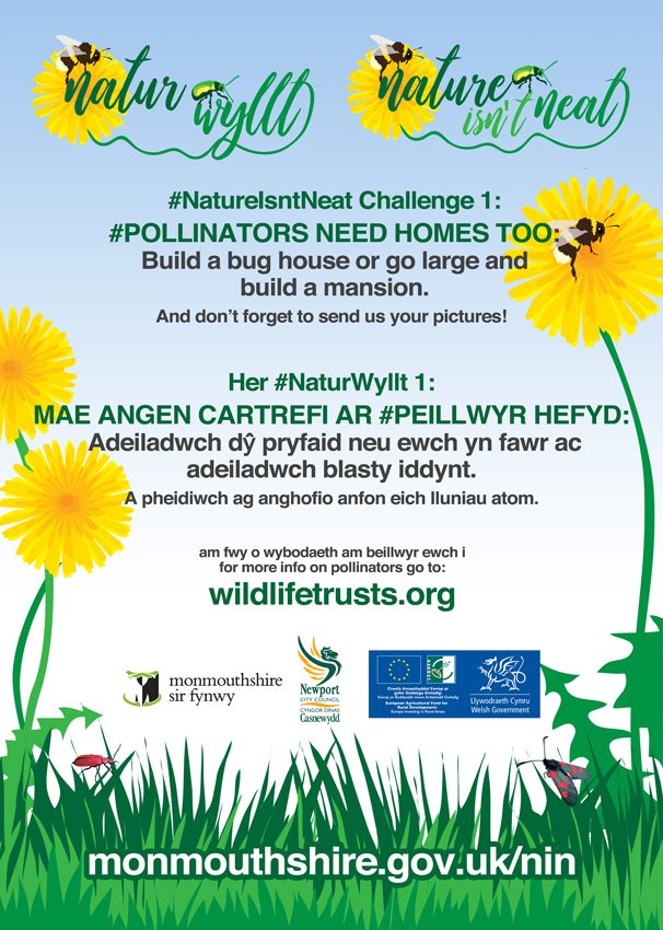 natureisntneat's tweet photo. First of #natureisntneat Challenge1 - let's do it, no hesitation let's do it.
#wyebeauty #pollinators #bumblebee #transitionMon1 #beesfordev #lessmow #FOE #gwentwildlife https://t.co/4GNXIz5Lz0