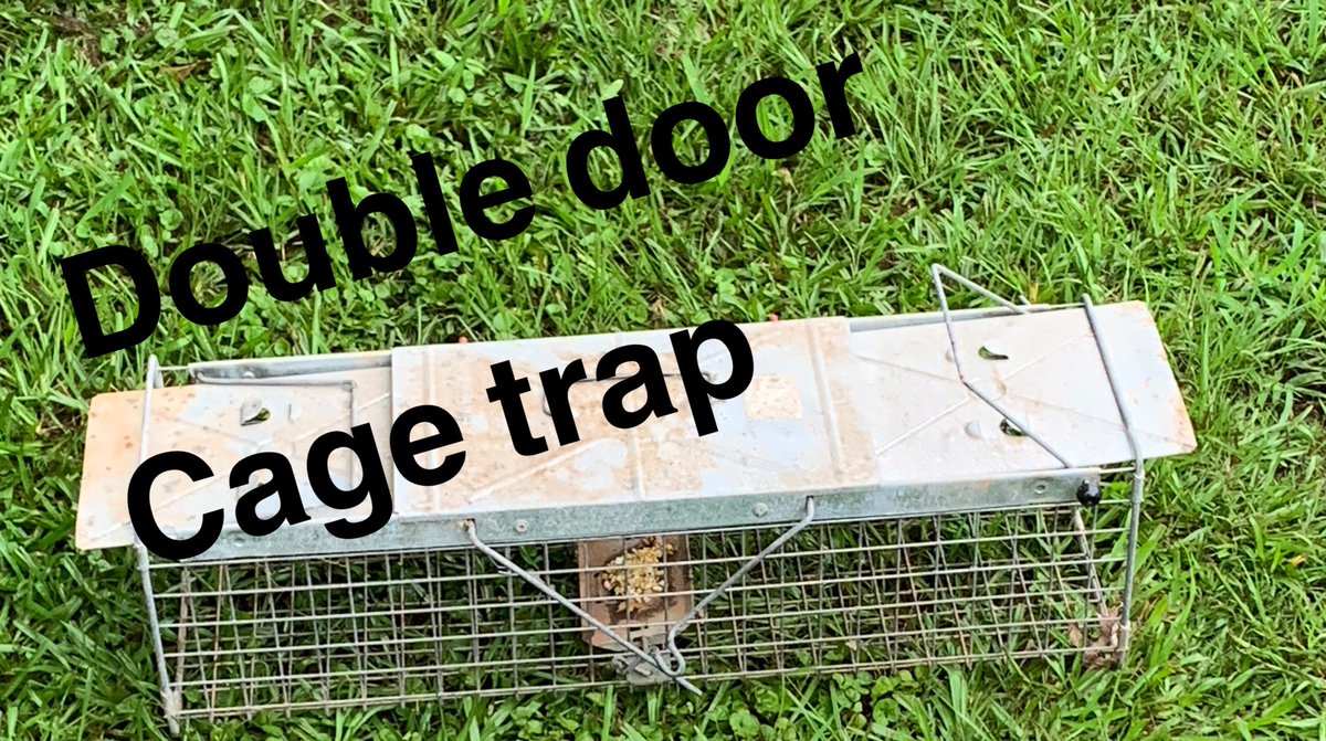 MilnerMerchant's tweet photo. #trapping #cagetrap #trappinglife #MilnerTrapper https://t.co/gwUy8INc8S https://t.co/ggQ63AHzbf